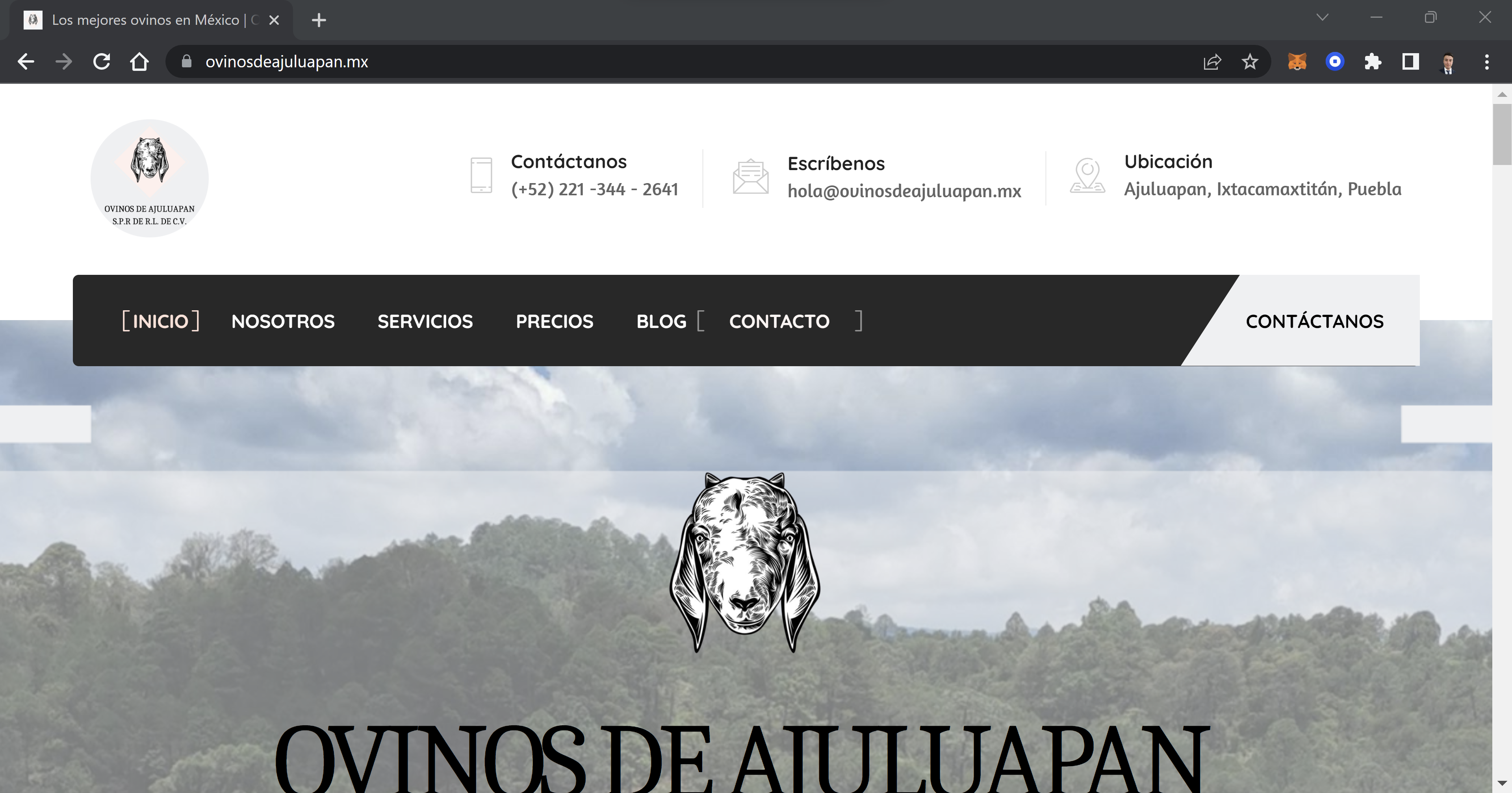 Página Web de Ovinos de Ajuluapan